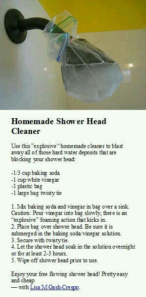 How To Clean Your Shower Head