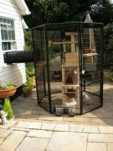 How to Make an Outdoor Cat Playground - DIY Cuteness