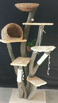 How to Make an Outdoor Cat Playground