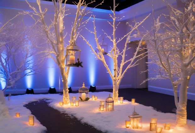 Whimsical winter wedding decor with bird cages and fairy lights.