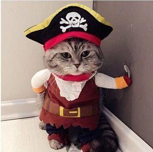 Halloween Costumes for Pets - DIY Cuteness