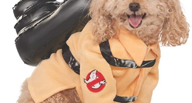 Halloween Costumes for Pets