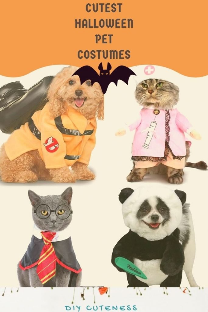 Halloween Costumes for Pets - DIY Cuteness