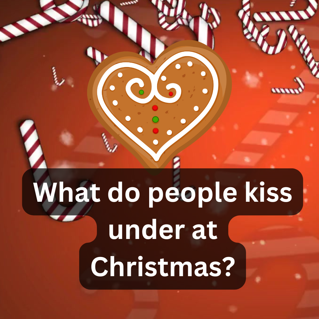 xmas-question-6